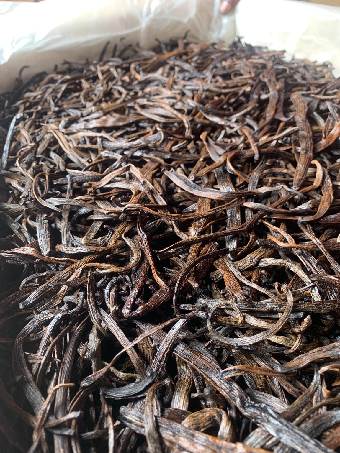 Cured vanilla beans
